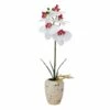 Best reviews of ✔️ Mikasa® 16 Inch Faux Orchid in Pot, White and Pink 😍 -Mikasa Sales 2023 16 inch faux orchid in pot white and pink 5291157 1