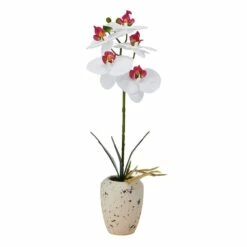 Best reviews of ✔️ Mikasa® 16 Inch Faux Orchid in Pot, White and Pink 😍