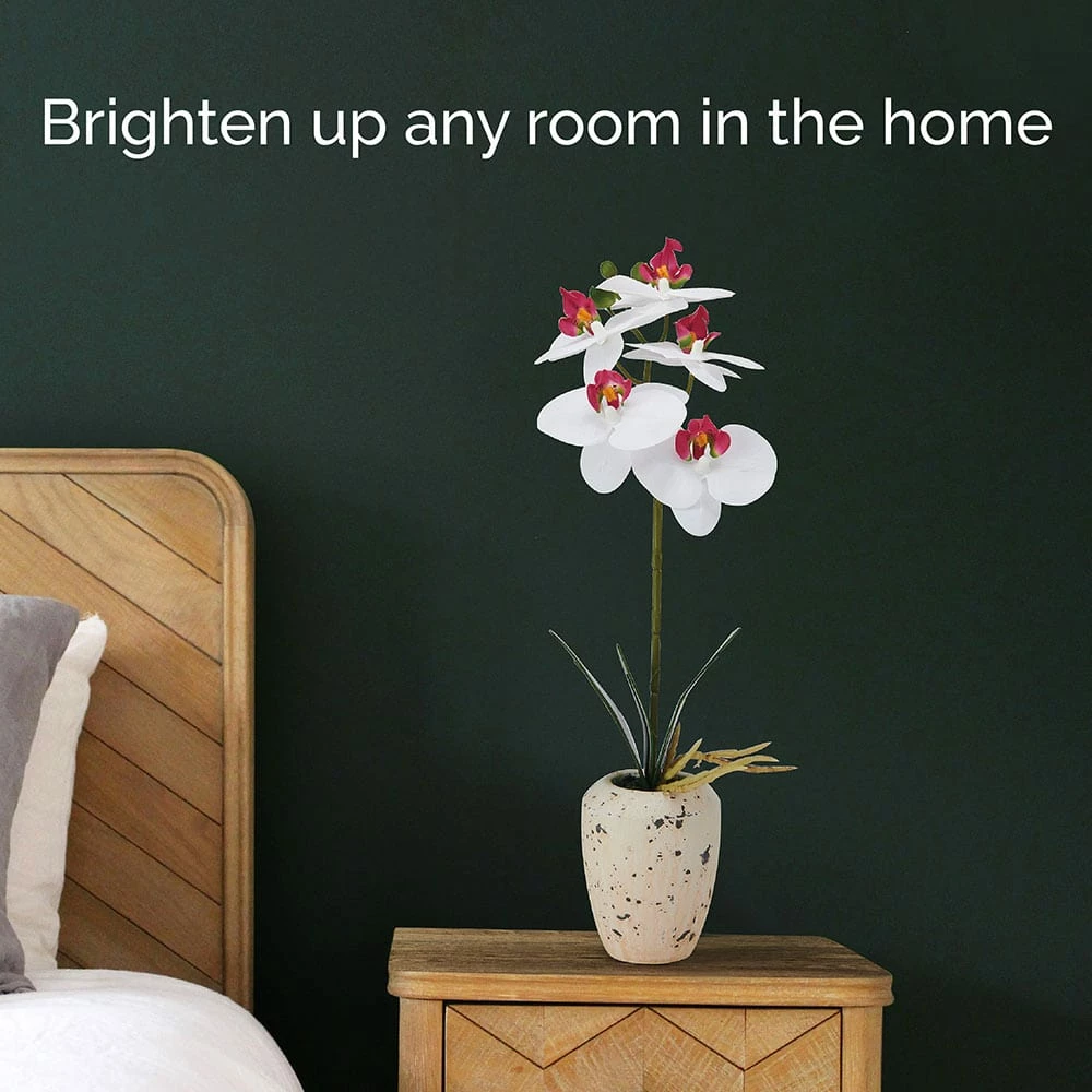 Best reviews of ✔️ Mikasa® 16 Inch Faux Orchid in Pot, White and Pink 😍 4 Best reviews of ✔️ Mikasa® 16 Inch Faux Orchid in Pot, White and Pink 😍 - Image 2