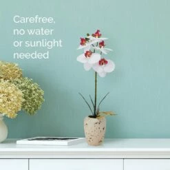 Best reviews of ✔️ Mikasa® 16 Inch Faux Orchid in Pot, White and Pink 😍 8 Best reviews of ✔️ Mikasa® 16 Inch Faux Orchid in Pot, White and Pink 😍 -Mikasa Sales 2023 16 inch faux orchid in pot white and pink 5291157 3