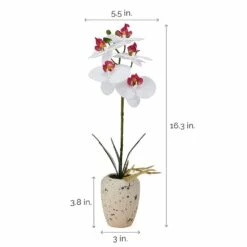 Best reviews of ✔️ Mikasa® 16 Inch Faux Orchid in Pot, White and Pink 😍 9 Best reviews of ✔️ Mikasa® 16 Inch Faux Orchid in Pot, White and Pink 😍 -Mikasa Sales 2023 16 inch faux orchid in pot white and pink 5291157 4