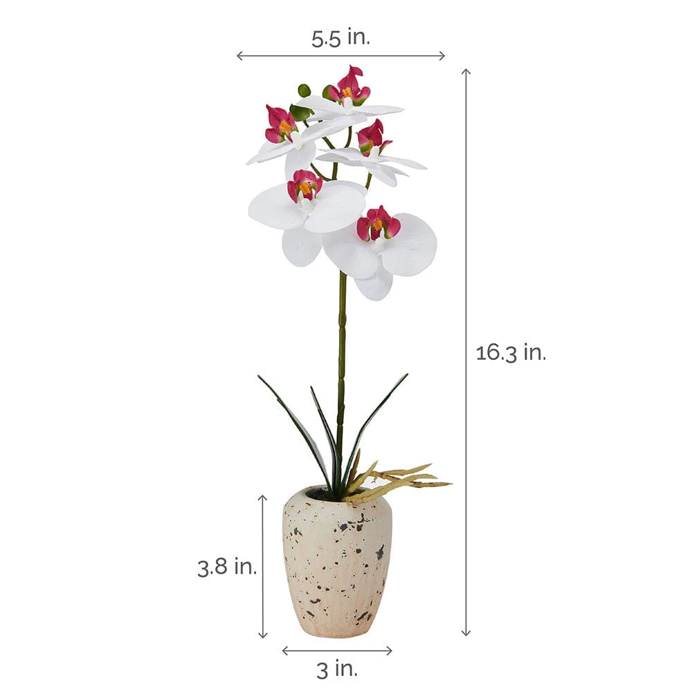 Best reviews of ✔️ Mikasa® 16 Inch Faux Orchid in Pot, White and Pink 😍 6 Best reviews of ✔️ Mikasa® 16 Inch Faux Orchid in Pot, White and Pink 😍 - Image 4