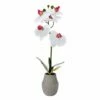 Top 10 🥰 Mikasa® 16 Inch Faux Orchid in Pot, White ⭐ 2 Top 10 🥰 Mikasa® 16 Inch Faux Orchid in Pot, White ⭐ -Mikasa Sales 2023 16 inch faux orchid in pot white 5291147 1