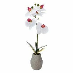 Top 10 🥰 Mikasa® 16 Inch Faux Orchid in Pot, White ⭐