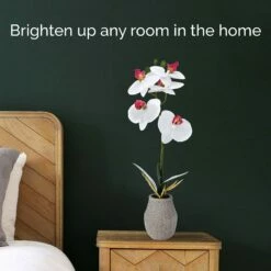 Top 10 🥰 Mikasa® 16 Inch Faux Orchid in Pot, White ⭐ -Mikasa Sales 2023 16 inch faux orchid in pot white 5291147 3