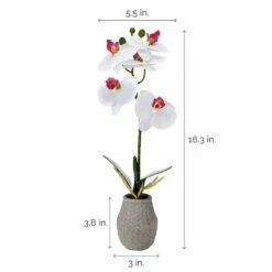 Top 10 🥰 Mikasa® 16 Inch Faux Orchid in Pot, White ⭐ -Mikasa Sales 2023 16 inch faux orchid in pot white 5291147 4