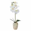 Discount 👍 Mikasa® 16 Inch Faux Orchid in Rustic Pot, White and Yellow ⌛ 2 Discount 👍 Mikasa® 16 Inch Faux Orchid in Rustic Pot, White and Yellow ⌛ -Mikasa Sales 2023 16 inch faux orchid in rustic pot white and yellow 5291158 1