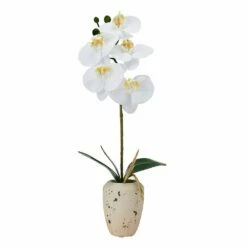 Discount 👍 Mikasa® 16 Inch Faux Orchid in Rustic Pot, White and Yellow ⌛