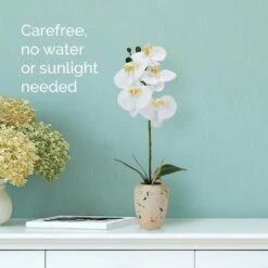 Discount 👍 Mikasa® 16 Inch Faux Orchid in Rustic Pot, White and Yellow ⌛ -Mikasa Sales 2023 16 inch faux orchid in rustic pot white and yellow 5291158 3