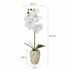 Discount 👍 Mikasa® 16 Inch Faux Orchid in Rustic Pot, White and Yellow ⌛ -Mikasa Sales 2023 16 inch faux orchid in rustic pot white and yellow 5291158 4