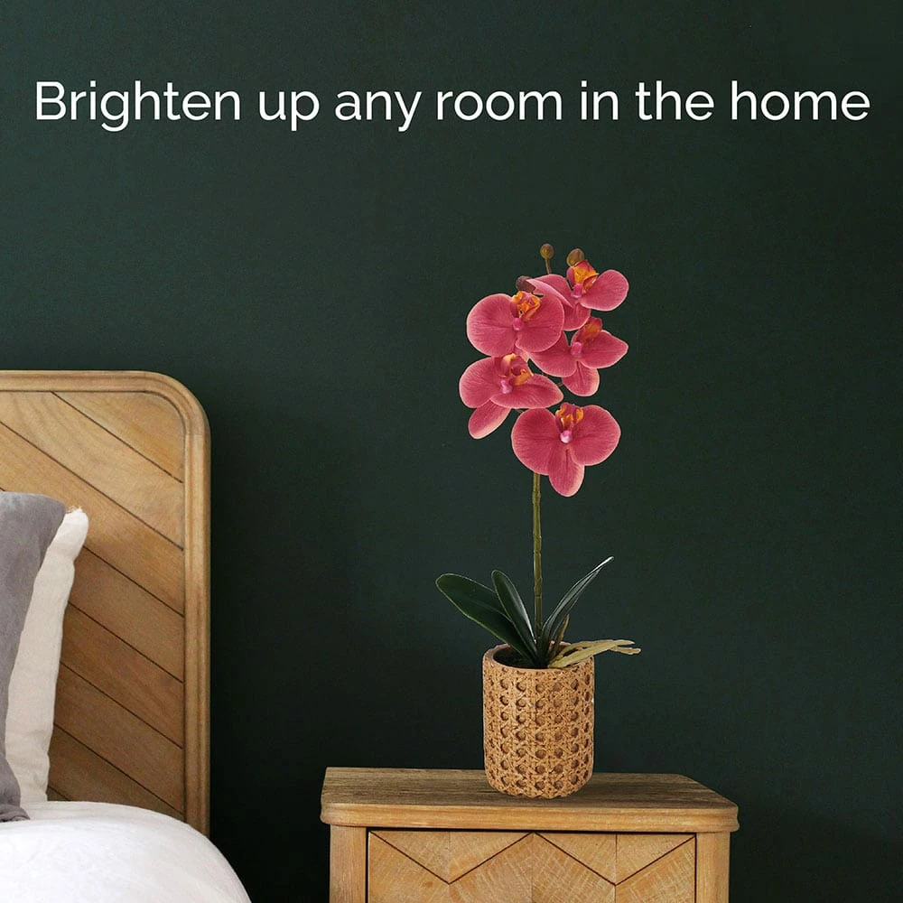 New 🌟 Mikasa® 16 Inch Faux Orchid in Tan Pot, Rosewood 🎁 5 New 🌟 Mikasa® 16 Inch Faux Orchid in Tan Pot, Rosewood 🎁 - Image 3