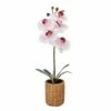 Best reviews of 😍 Mikasa® 16 Inch Faux Orchid in Tan Pot, Watercolor Pink ❤️ -Mikasa Sales 2023 16 inch faux orchid in tan pot watercolor pink 5293731 1