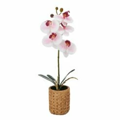Best reviews of 😍 Mikasa® 16 Inch Faux Orchid in Tan Pot, Watercolor Pink ❤️