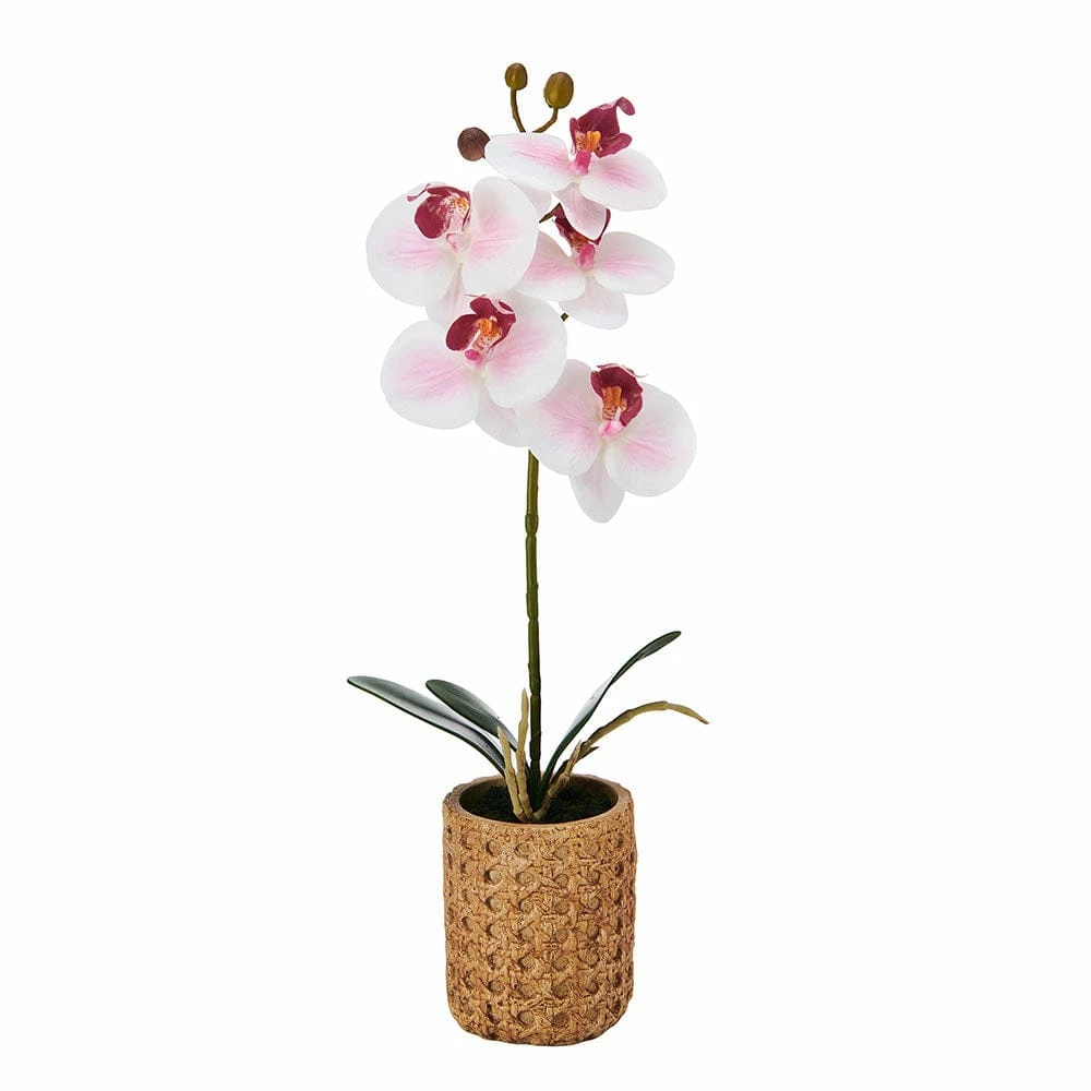 Best reviews of 😍 Mikasa® 16 Inch Faux Orchid in Tan Pot, Watercolor Pink ❤️ 3 Best reviews of 😍 Mikasa® 16 Inch Faux Orchid in Tan Pot, Watercolor Pink ❤️