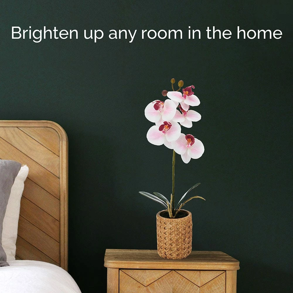 Best reviews of 😍 Mikasa® 16 Inch Faux Orchid in Tan Pot, Watercolor Pink ❤️ 4 Best reviews of 😍 Mikasa® 16 Inch Faux Orchid in Tan Pot, Watercolor Pink ❤️ - Image 2