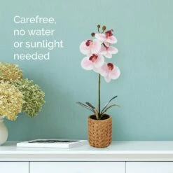 Best reviews of 😍 Mikasa® 16 Inch Faux Orchid in Tan Pot, Watercolor Pink ❤️ 8 Best reviews of 😍 Mikasa® 16 Inch Faux Orchid in Tan Pot, Watercolor Pink ❤️ -Mikasa Sales 2023 16 inch faux orchid in tan pot watercolor pink 5293731 3