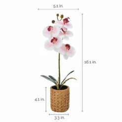 Best reviews of 😍 Mikasa® 16 Inch Faux Orchid in Tan Pot, Watercolor Pink ❤️ 9 Best reviews of 😍 Mikasa® 16 Inch Faux Orchid in Tan Pot, Watercolor Pink ❤️ -Mikasa Sales 2023 16 inch faux orchid in tan pot watercolor pink 5293731 4
