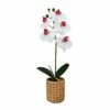 Cheapest 🧨 Mikasa® 16 Inch Faux Orchid in Tan Pot, White and Pink 🎁