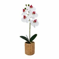 Cheapest 🧨 Mikasa® 16 Inch Faux Orchid in Tan Pot, White and Pink 🎁