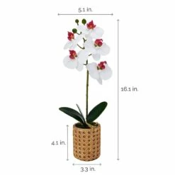 Cheapest 🧨 Mikasa® 16 Inch Faux Orchid in Tan Pot, White and Pink 🎁 -Mikasa Sales 2023 16 inch faux orchid in tan pot white and pink 5293732 4