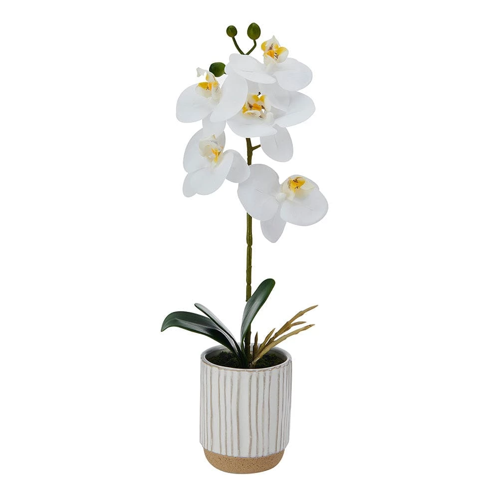 Deals 🎉 Mikasa® 16 Inch Faux Orchid in White Pot, White and Yellow 🎉 3 Deals 🎉 Mikasa® 16 Inch Faux Orchid in White Pot, White and Yellow 🎉