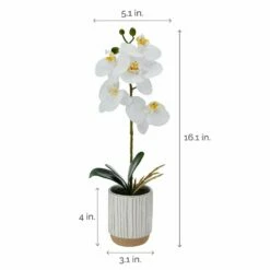 Deals 🎉 Mikasa® 16 Inch Faux Orchid in White Pot, White and Yellow 🎉 9 Deals 🎉 Mikasa® 16 Inch Faux Orchid in White Pot, White and Yellow 🎉 -Mikasa Sales 2023 16 inch faux orchid in white pot white and yellow 5293720 4