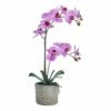 Discount 🔔 Mikasa® 22 Inch Faux Orchid in Basket Pot, Fuchsia 😉 -Mikasa Sales 2023 22 inch faux orchid in basket pot fuchsia 5291138 1