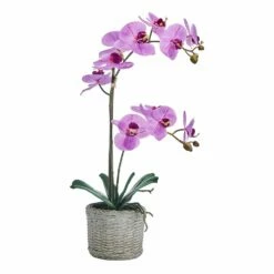 Discount 🔔 Mikasa® 22 Inch Faux Orchid in Basket Pot, Fuchsia 😉