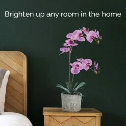 Discount 🔔 Mikasa® 22 Inch Faux Orchid in Basket Pot, Fuchsia 😉 -Mikasa Sales 2023 22 inch faux orchid in basket pot fuchsia 5291138 3