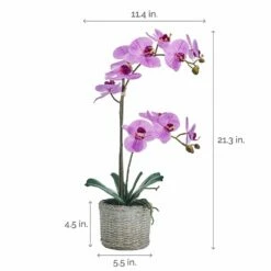 Discount 🔔 Mikasa® 22 Inch Faux Orchid in Basket Pot, Fuchsia 😉 -Mikasa Sales 2023 22 inch faux orchid in basket pot fuchsia 5291138 4