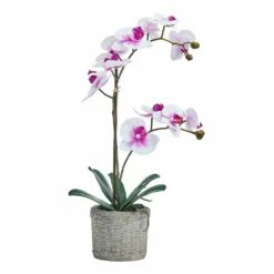 Buy 🔔 Mikasa® 22 Inch Faux Orchid in Basket Pot, White and Fuchsia 😉
