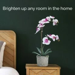 Buy 🔔 Mikasa® 22 Inch Faux Orchid in Basket Pot, White and Fuchsia 😉 -Mikasa Sales 2023 22 inch faux orchid in basket pot white and fuchsia 5291137 3