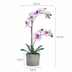 Buy 🔔 Mikasa® 22 Inch Faux Orchid in Basket Pot, White and Fuchsia 😉 -Mikasa Sales 2023 22 inch faux orchid in basket pot white and fuchsia 5291137 4