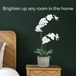 Cheap 🔔 Mikasa® 22 Inch Faux Orchid in Basket Pot, White and Yellow 🎁 -Mikasa Sales 2023 22 inch faux orchid in basket pot white and yellow 5291139 3