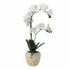 Buy 👍 Mikasa® 22 Inch Faux Orchid in Beige Rustic Pot, White and Yellow 🎁 -Mikasa Sales 2023 22 inch faux orchid in beige rustic pot white and yellow 5291145 1
