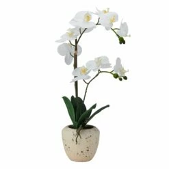 Buy 👍 Mikasa® 22 Inch Faux Orchid in Beige Rustic Pot, White and Yellow 🎁
