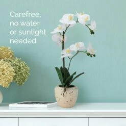 Buy 👍 Mikasa® 22 Inch Faux Orchid in Beige Rustic Pot, White and Yellow 🎁 -Mikasa Sales 2023 22 inch faux orchid in beige rustic pot white and yellow 5291145 3