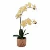 New ❤️ Mikasa® 22 Inch Faux Orchid in Brown Pot, Ivory 🤩 -Mikasa Sales 2023 22 inch faux orchid in brown pot ivory 5293735 1