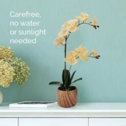 New ❤️ Mikasa® 22 Inch Faux Orchid in Brown Pot, Ivory 🤩 -Mikasa Sales 2023 22 inch faux orchid in brown pot ivory 5293735 3