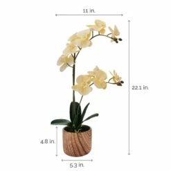 New ❤️ Mikasa® 22 Inch Faux Orchid in Brown Pot, Ivory 🤩 -Mikasa Sales 2023 22 inch faux orchid in brown pot ivory 5293735 4