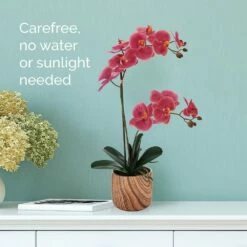 New 👏 Mikasa® 22 Inch Faux Orchid in Brown Pot, Rosewood ✔️ 7 New 👏 Mikasa® 22 Inch Faux Orchid in Brown Pot, Rosewood ✔️ -Mikasa Sales 2023 22 inch faux orchid in brown pot rosewood 5293733 2