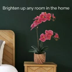 New 👏 Mikasa® 22 Inch Faux Orchid in Brown Pot, Rosewood ✔️ 8 New 👏 Mikasa® 22 Inch Faux Orchid in Brown Pot, Rosewood ✔️ -Mikasa Sales 2023 22 inch faux orchid in brown pot rosewood 5293733 3