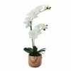 Cheapest 🧨 Mikasa® 22 Inch Faux Orchid in Brown Pot, White and Yellow 🤩 -Mikasa Sales 2023 22 inch faux orchid in brown pot white and yellow 5293734 1