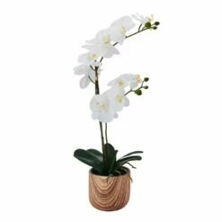 Cheapest 🧨 Mikasa® 22 Inch Faux Orchid in Brown Pot, White and Yellow 🤩