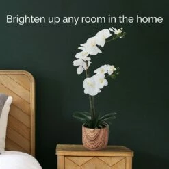 Cheapest 🧨 Mikasa® 22 Inch Faux Orchid in Brown Pot, White and Yellow 🤩 8 Cheapest 🧨 Mikasa® 22 Inch Faux Orchid in Brown Pot, White and Yellow 🤩 -Mikasa Sales 2023 22 inch faux orchid in brown pot white and yellow 5293734 3