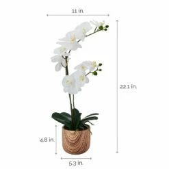 Cheapest 🧨 Mikasa® 22 Inch Faux Orchid in Brown Pot, White and Yellow 🤩 9 Cheapest 🧨 Mikasa® 22 Inch Faux Orchid in Brown Pot, White and Yellow 🤩 -Mikasa Sales 2023 22 inch faux orchid in brown pot white and yellow 5293734 4