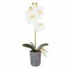 Outlet 🛒 Mikasa® 15 Inch Faux Orchid in Charcoal Pot, White and Yellow 🛒 -Mikasa Sales 2023 22 inch faux orchid in charcoal pot white and yellow 5275280 1
