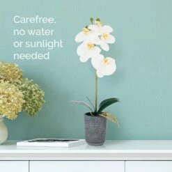 Outlet 🛒 Mikasa® 15 Inch Faux Orchid in Charcoal Pot, White and Yellow 🛒 8 Outlet 🛒 Mikasa® 15 Inch Faux Orchid in Charcoal Pot, White and Yellow 🛒 -Mikasa Sales 2023 22 inch faux orchid in charcoal pot white and yellow 5275280 3
