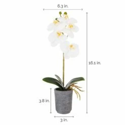 Outlet 🛒 Mikasa® 15 Inch Faux Orchid in Charcoal Pot, White and Yellow 🛒 9 Outlet 🛒 Mikasa® 15 Inch Faux Orchid in Charcoal Pot, White and Yellow 🛒 -Mikasa Sales 2023 22 inch faux orchid in charcoal pot white and yellow 5275280 4