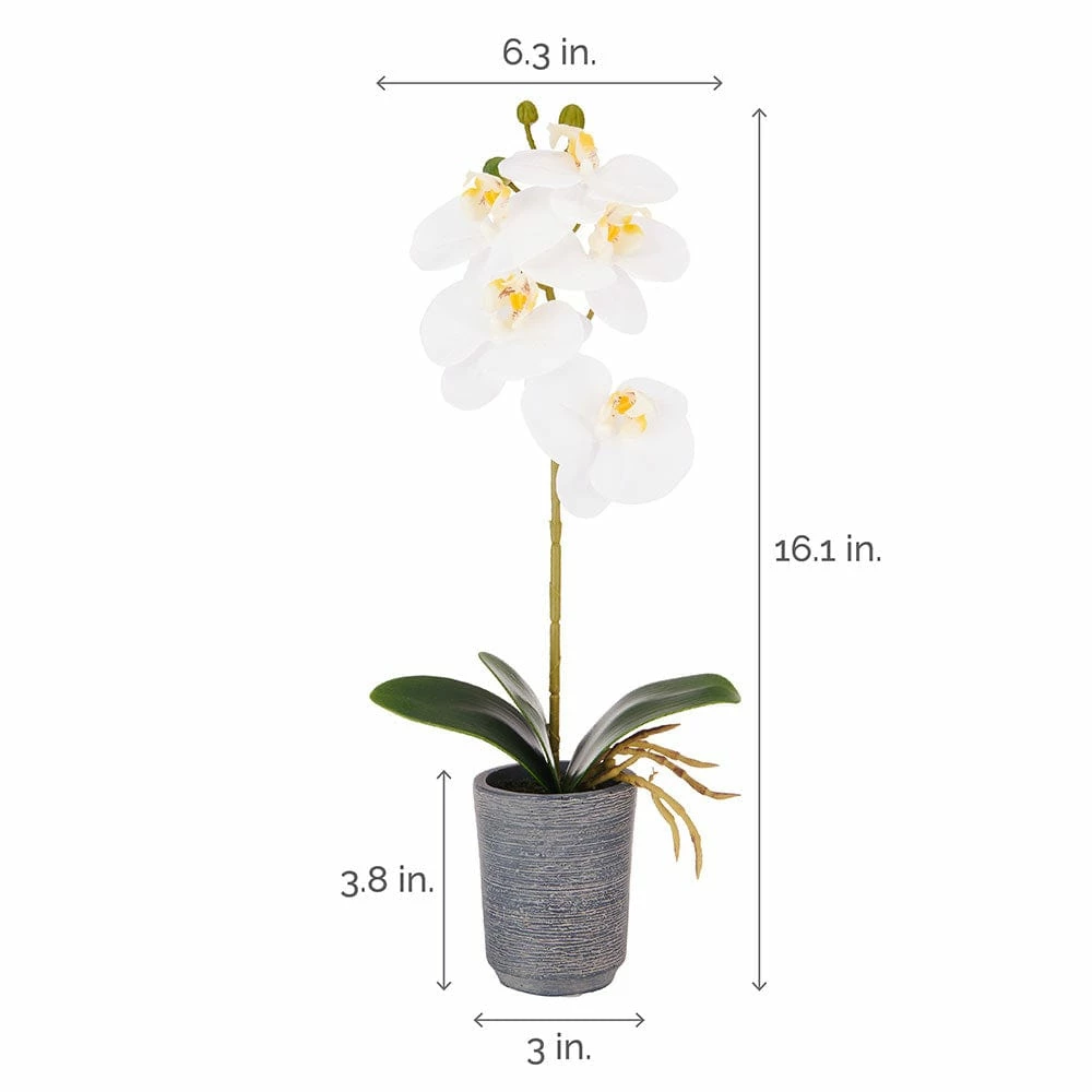 Outlet 🛒 Mikasa® 15 Inch Faux Orchid in Charcoal Pot, White and Yellow 🛒 6 Outlet 🛒 Mikasa® 15 Inch Faux Orchid in Charcoal Pot, White and Yellow 🛒 - Image 4